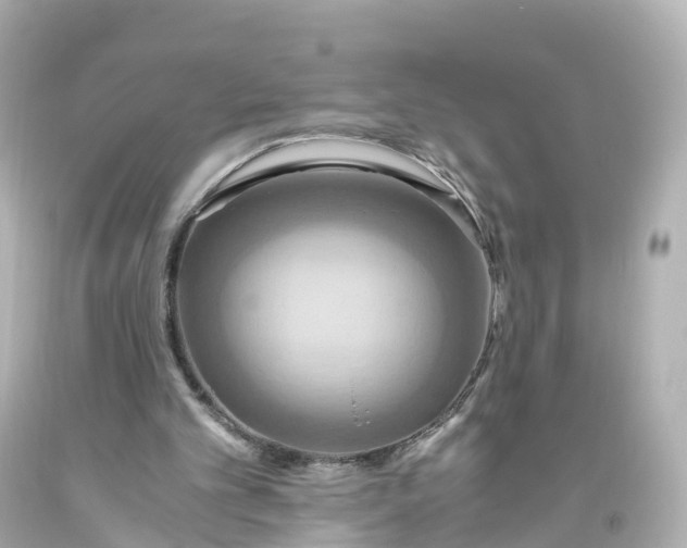 X0000093610101200710291214