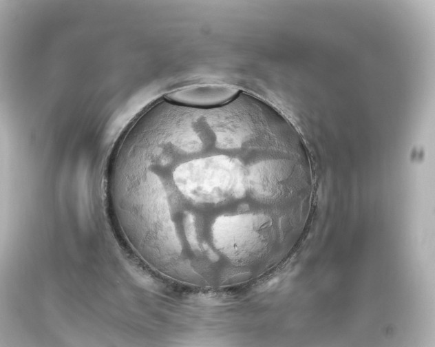 X0000093610103200710291214
