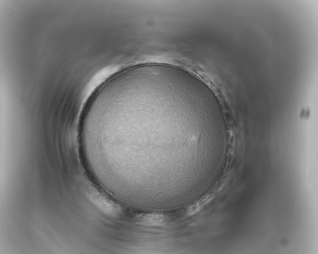 X0000093610104200710291214