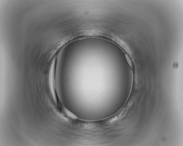 X0000093610105200710291214