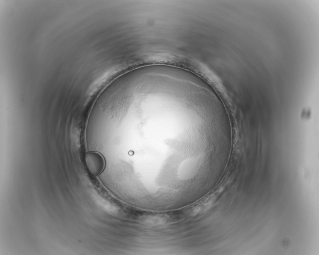 X0000093610106200710291214