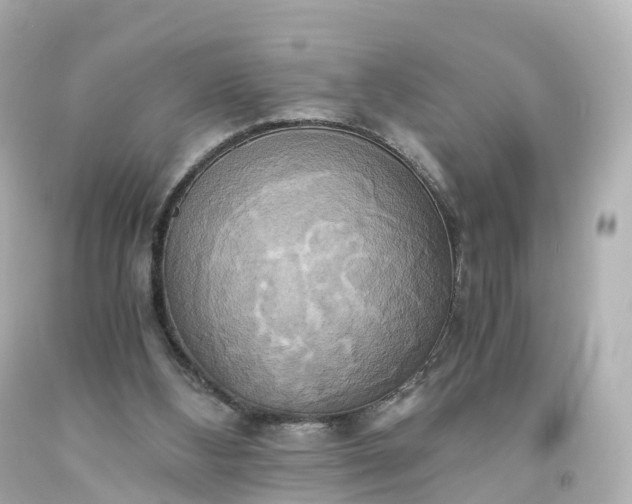 X0000093610108200710291213