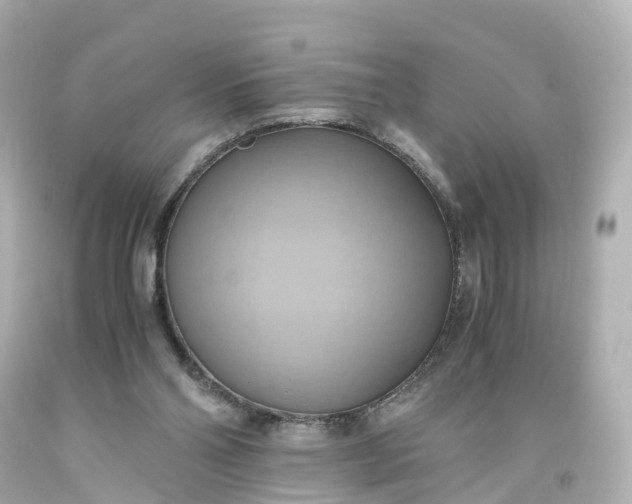 X0000093610110200710291213