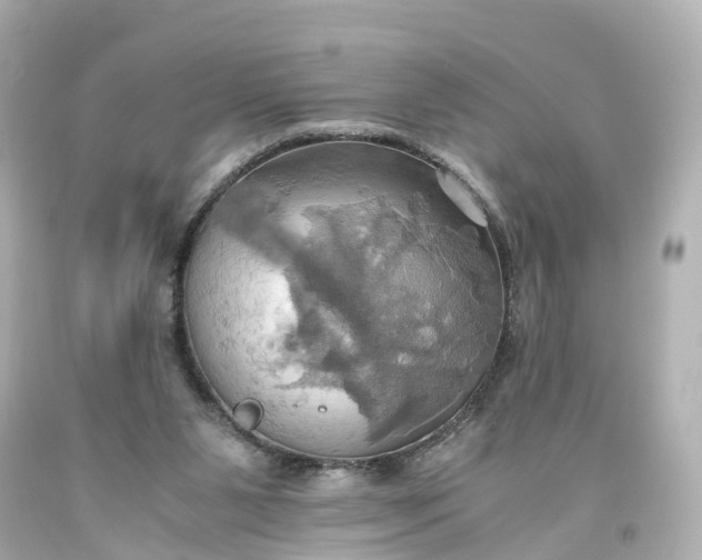 X0000093610111200710291213