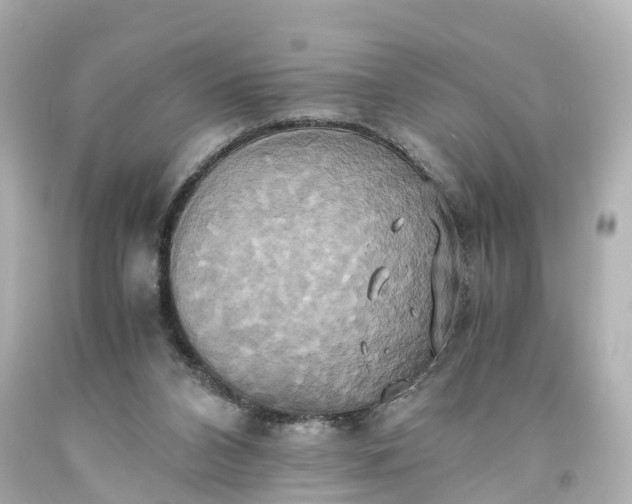 X0000093610112200710291213