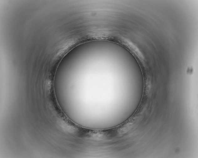 X0000093610113200710291213