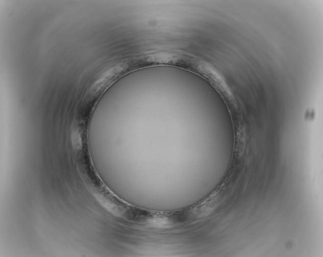 X0000093610114200710291213