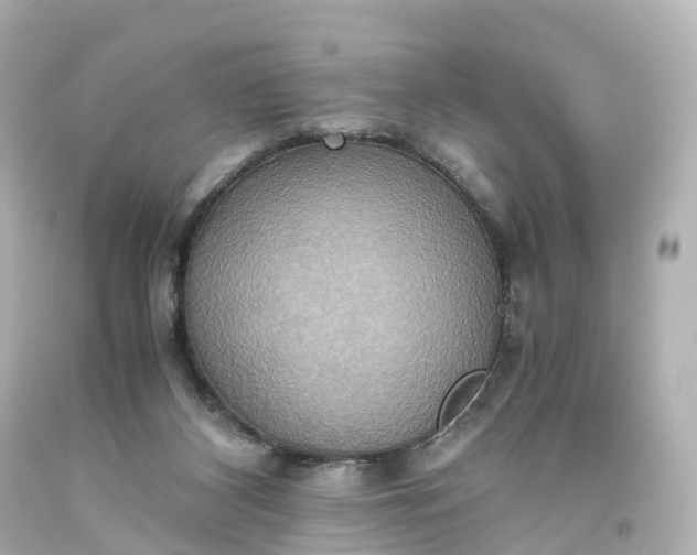X0000093610116200710291213
