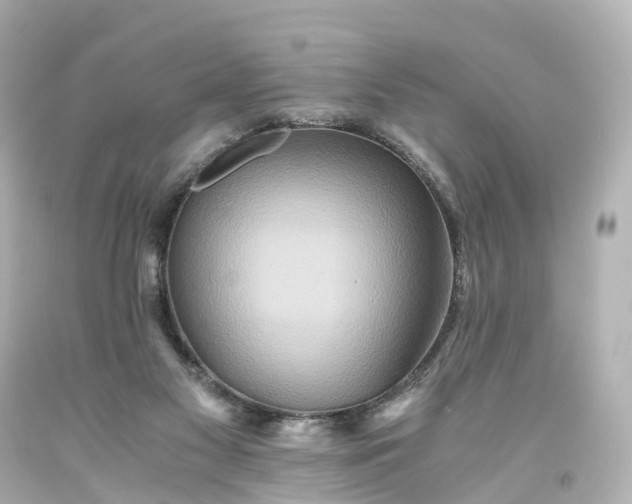X0000093610117200710291213