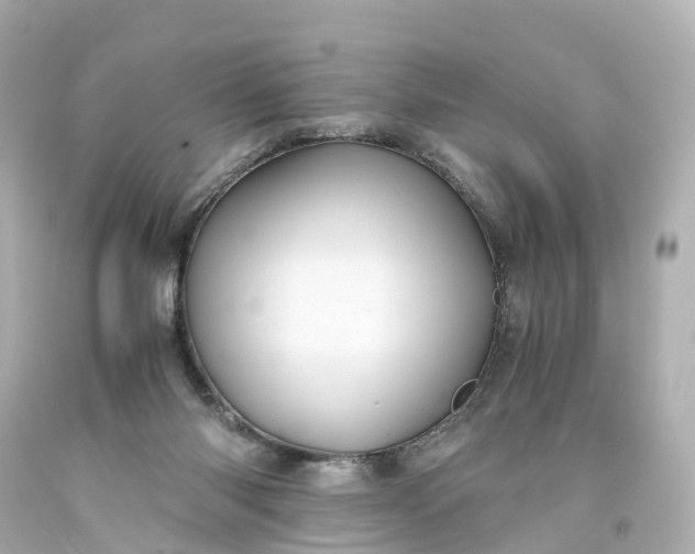 X0000093610118200710291213