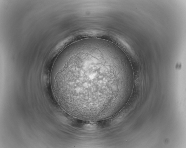 X0000093610119200710291213