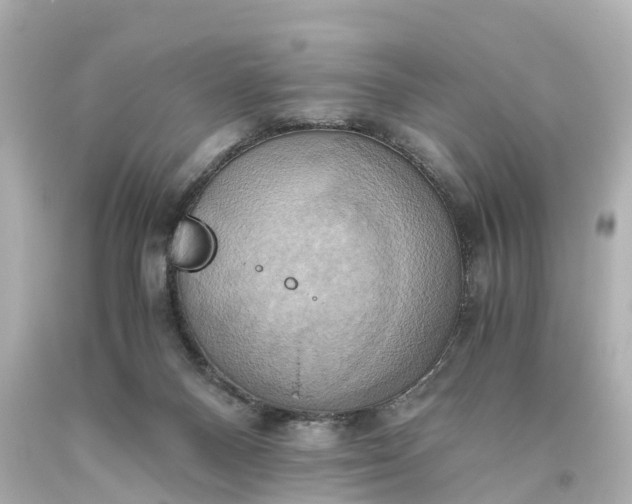X0000093610120200710291213