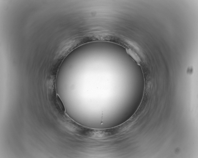 X0000093610121200710291213