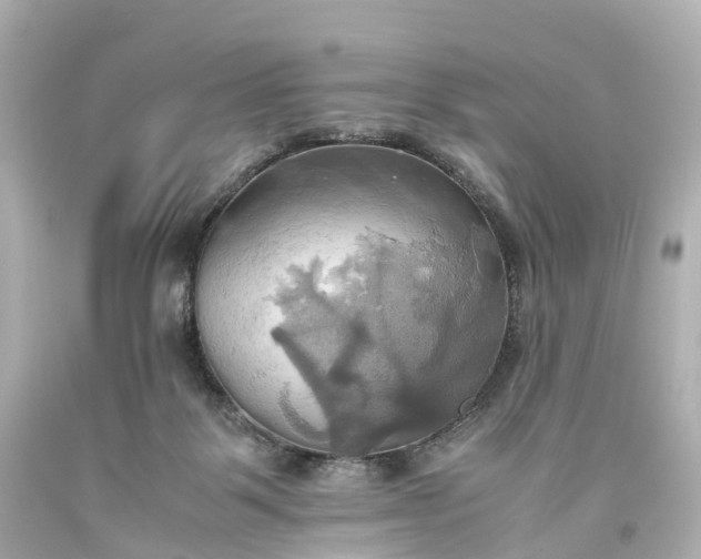 X0000093610123200710291213