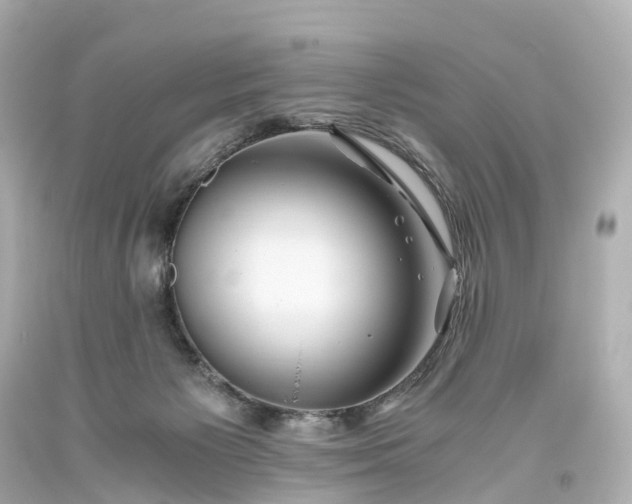 X0000093610125200710291213