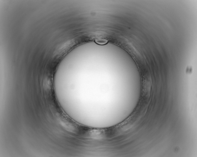 X0000093610126200710291213