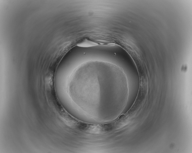 X0000093610127200710291213