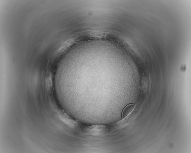 X0000093610128200710291213