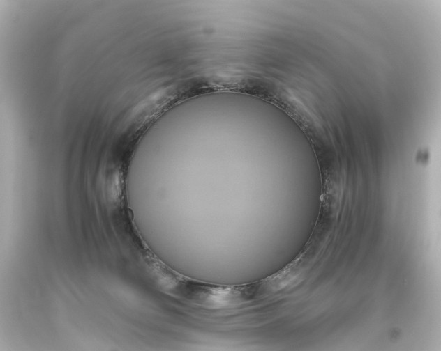 X0000093610130200710291213