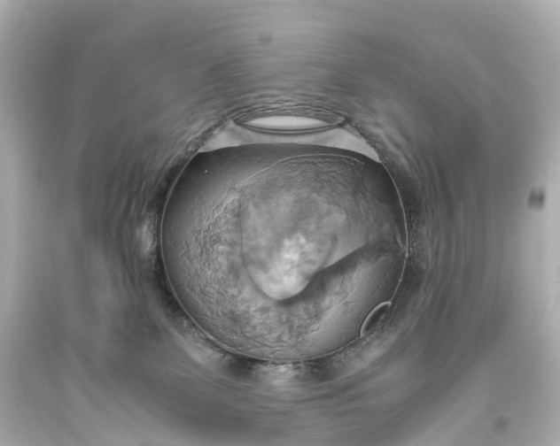 X0000093610131200710291213