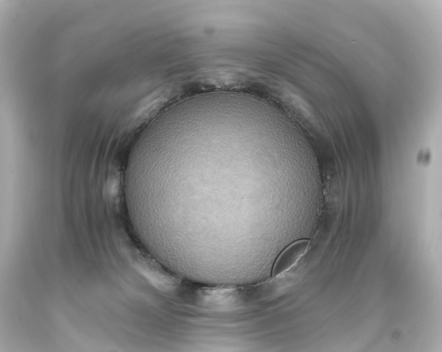 X0000093610132200710291213