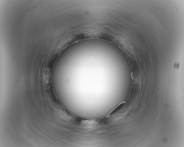 X0000093610133200710291213