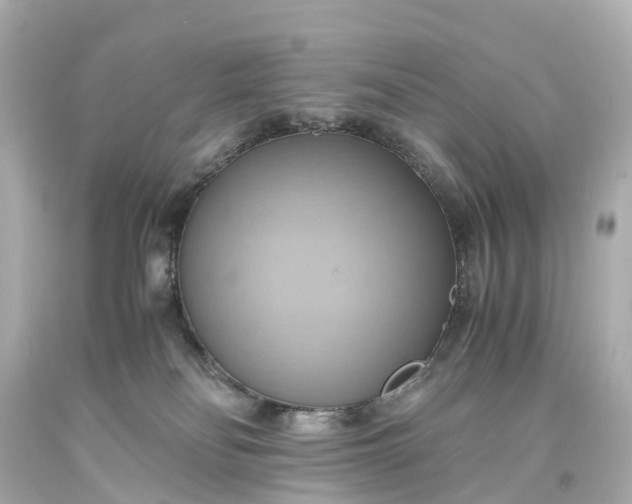 X0000093610134200710291213