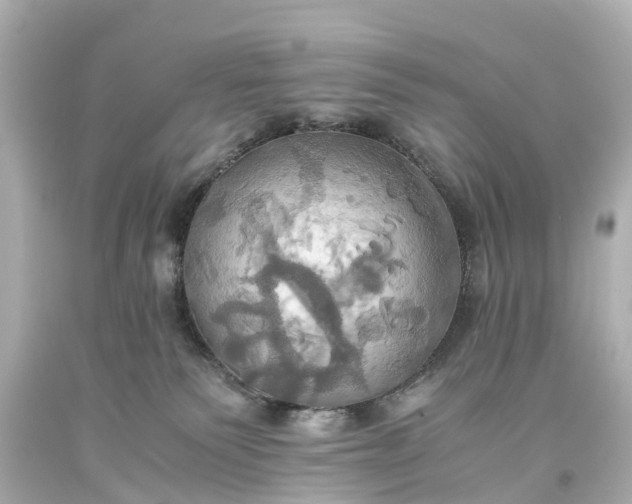 X0000093610135200710291213