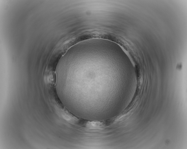 X0000093610137200710291213
