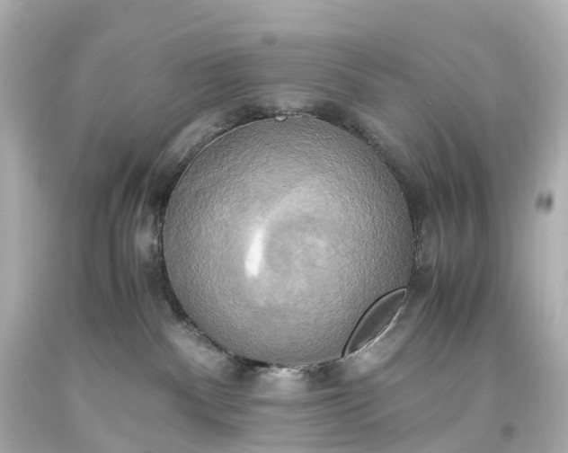 X0000093610140200710291213