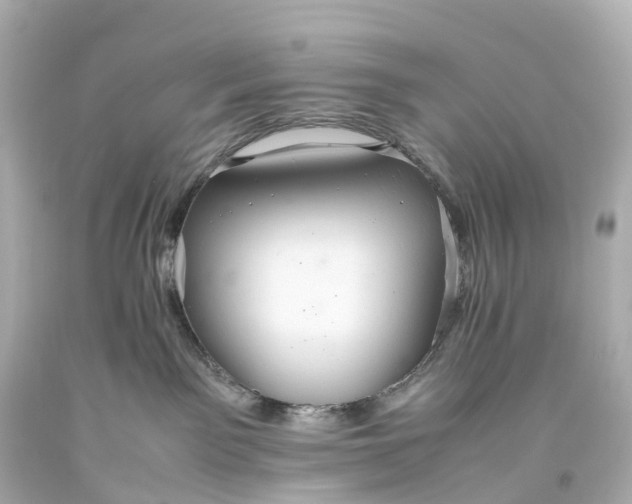 X0000093610141200710291213
