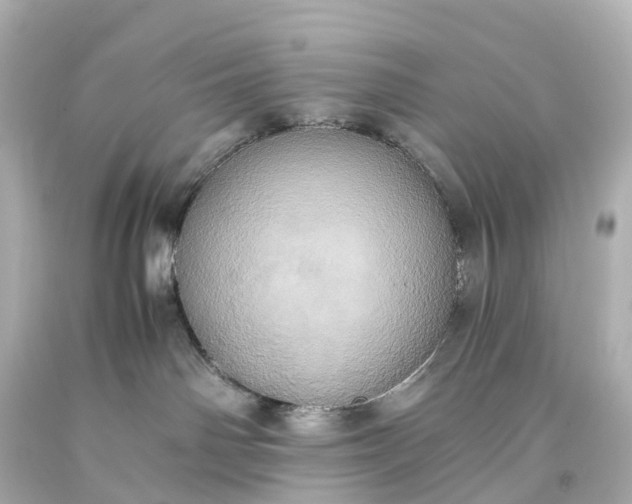 X0000093610142200710291213
