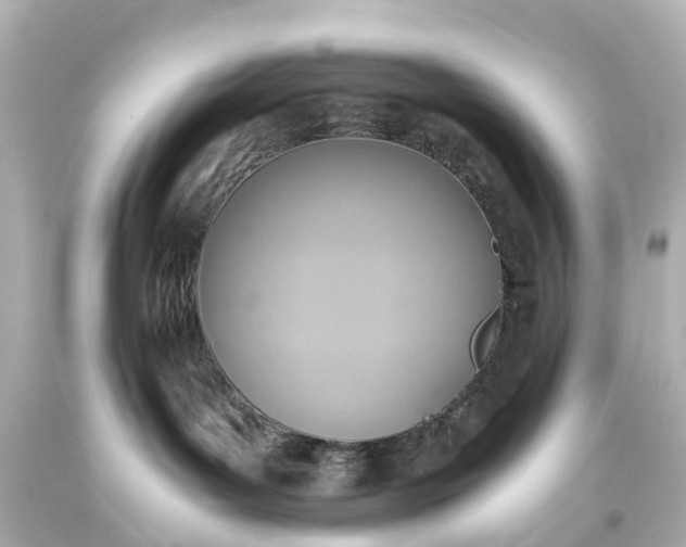 X0000093610143200710291213