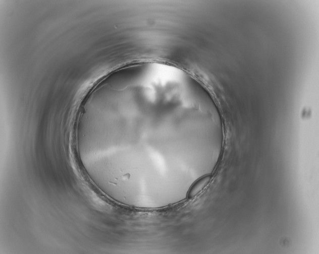 X0000093610145200710291212