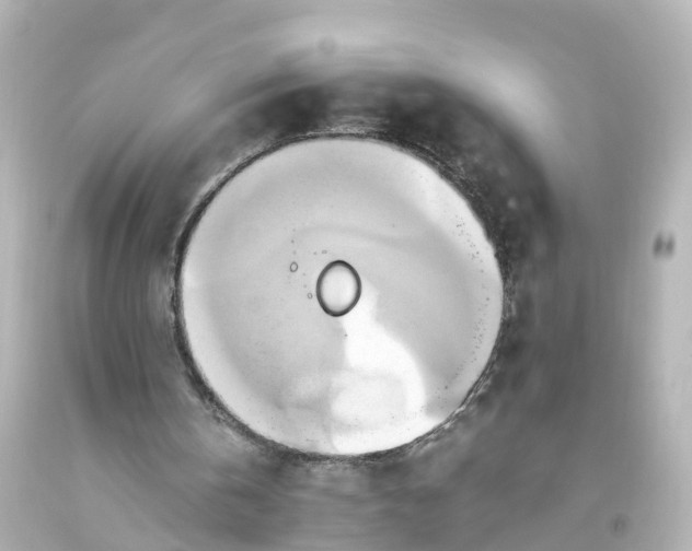 X0000093610146200710291212