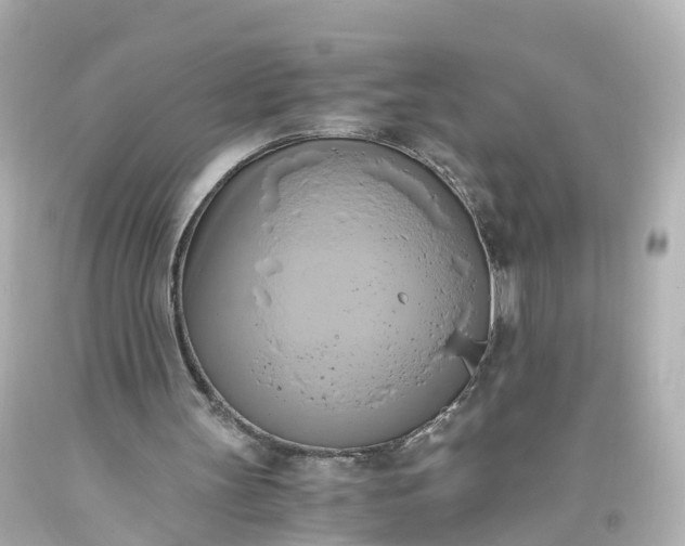 X0000093610147200710291212