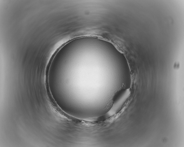 X0000093610148200710291212