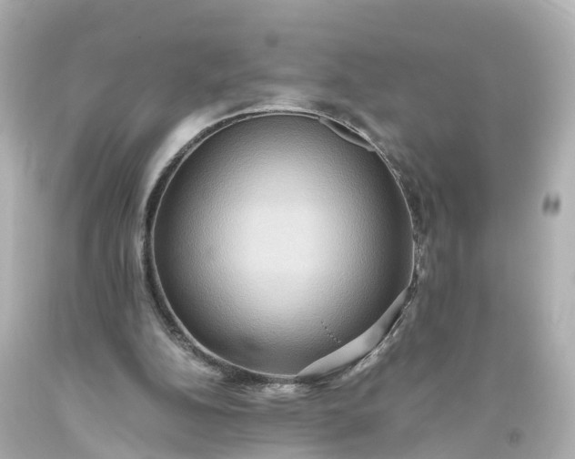 X0000093610152200710291213