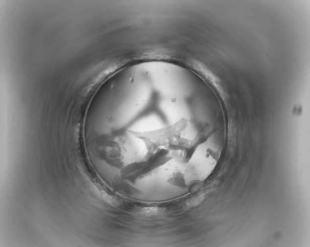 X0000093610153200710291213