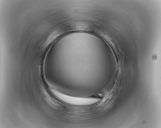 X0000093610154200710291213