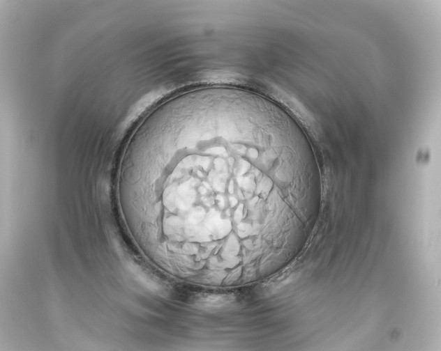 X0000093610155200710291213