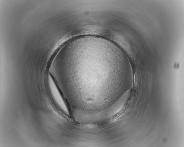 X0000093610156200710291213