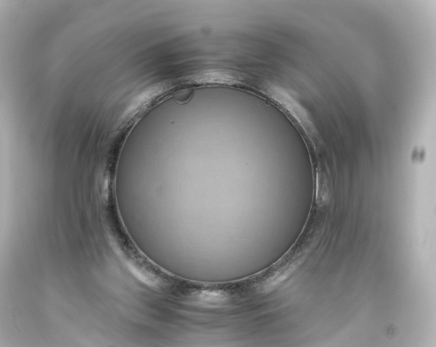 X0000093610157200710291213