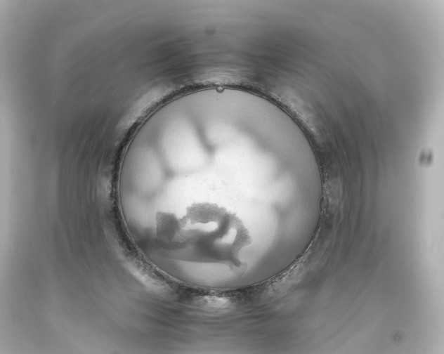 X0000093610159200710291213