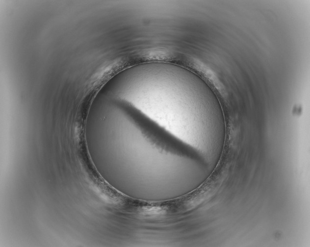 X0000093610161200710291213