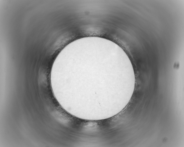 X0000093610162200710291213
