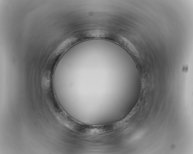X0000093610163200710291213