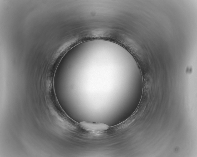 X0000093610164200710291213