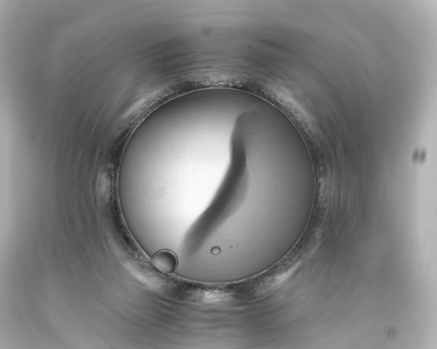 X0000093610165200710291213