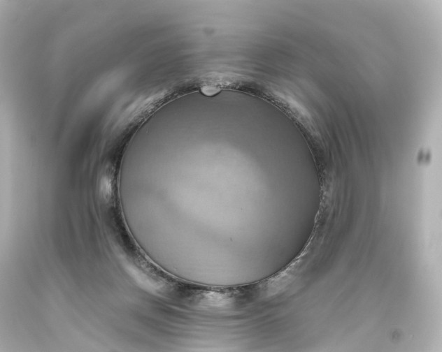 X0000093610166200710291213